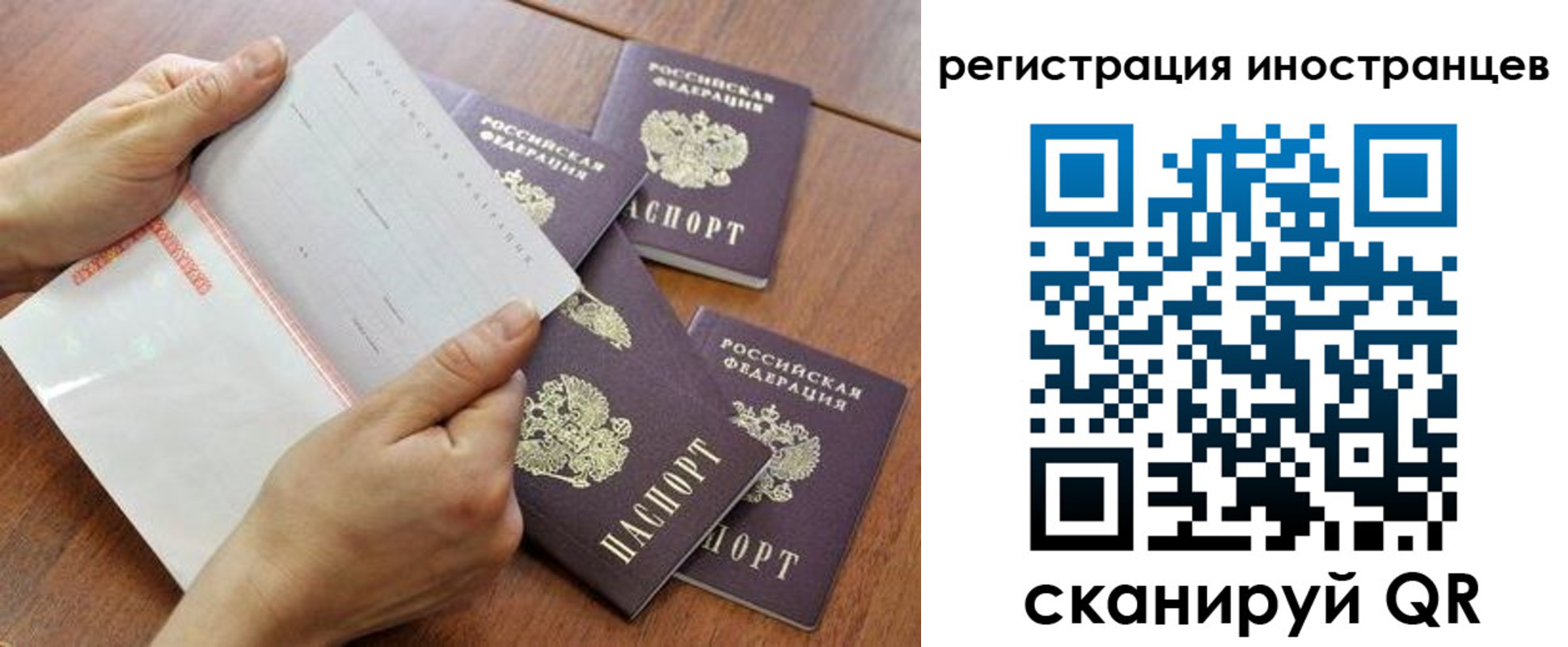 прописка поиск в Зарайске